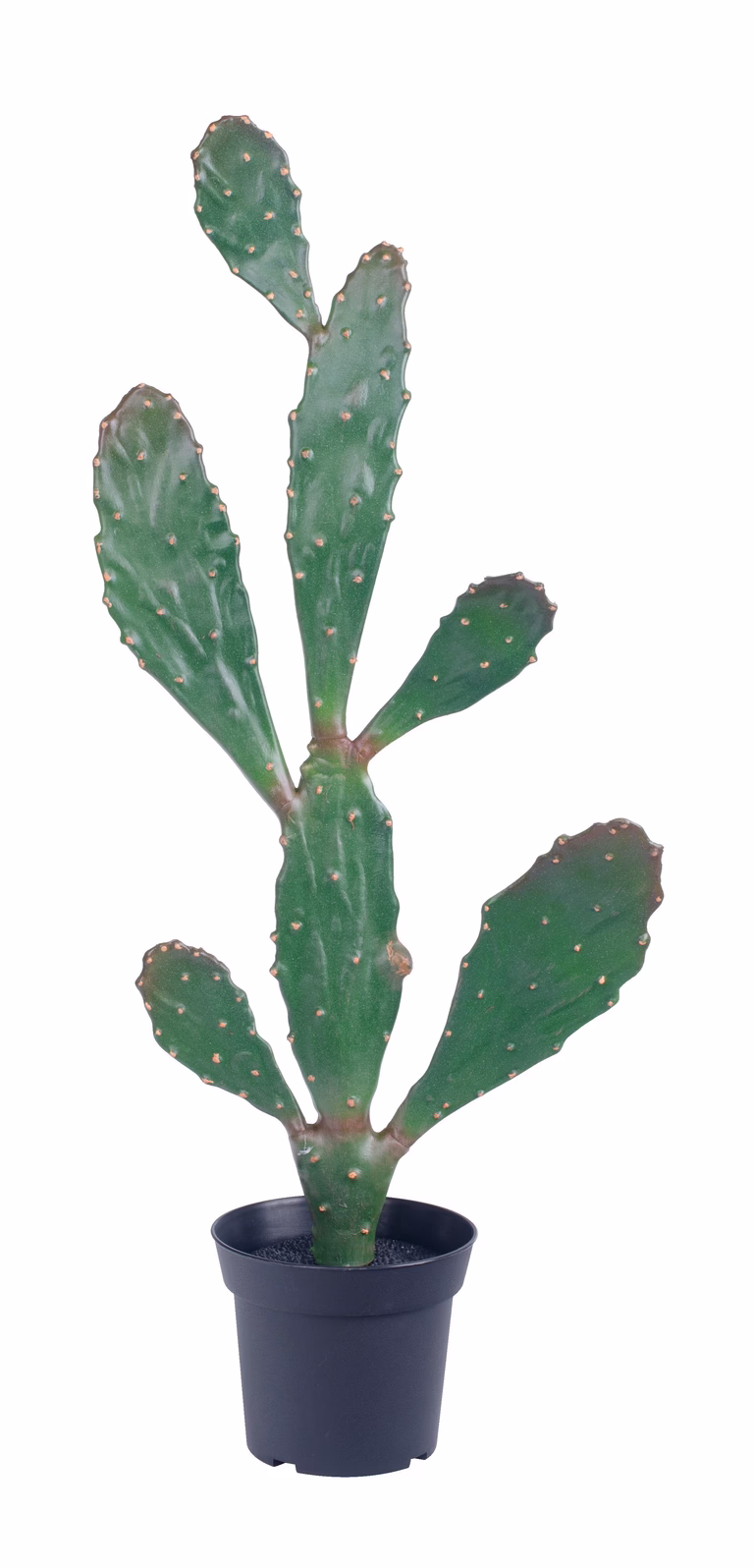Kaktus Opuntia konstgjord