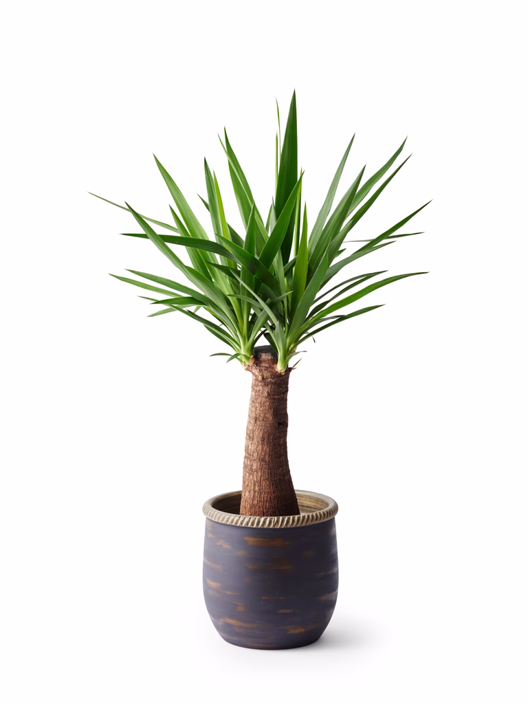 Patrik pot D24 grey