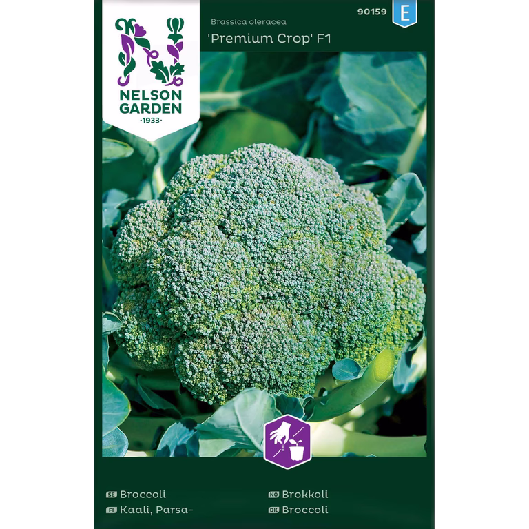 Broccoli 'Premium Crop' F1