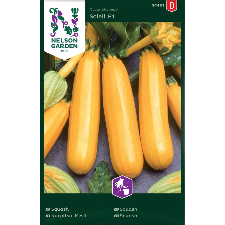 Squash, Soleil F1