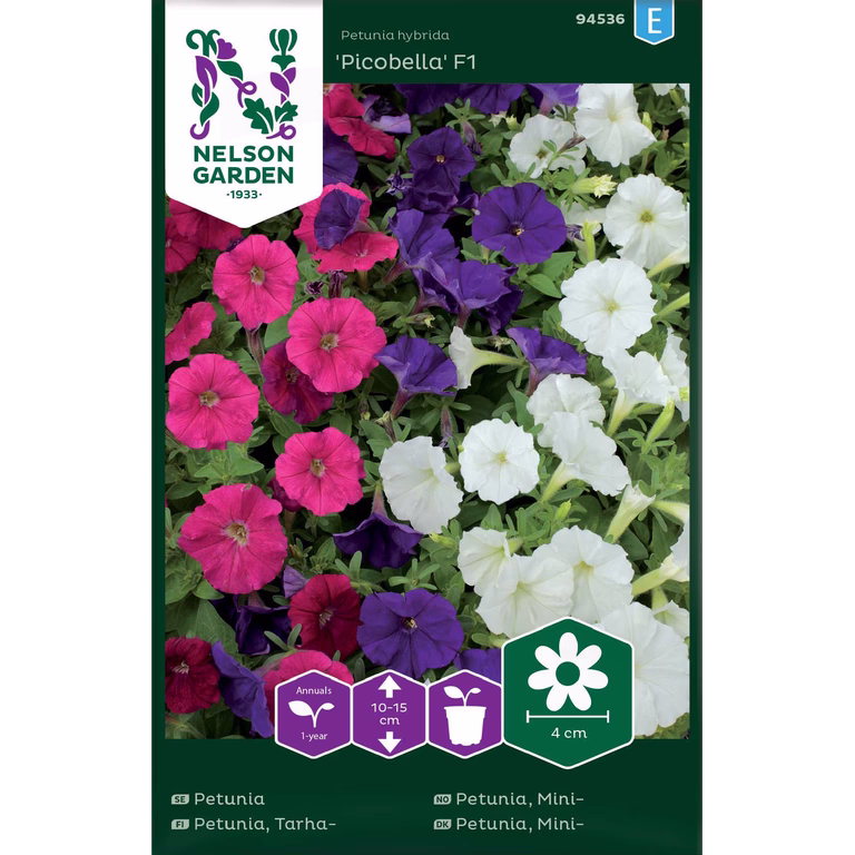 Petunia, Picobella F1, mini, b