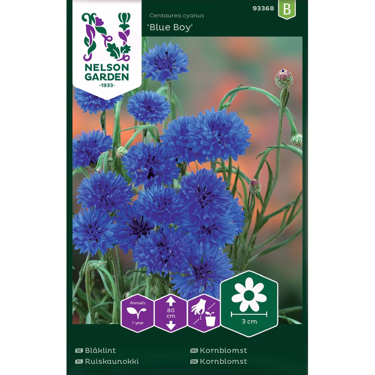Blåklint 'Blue Boy'