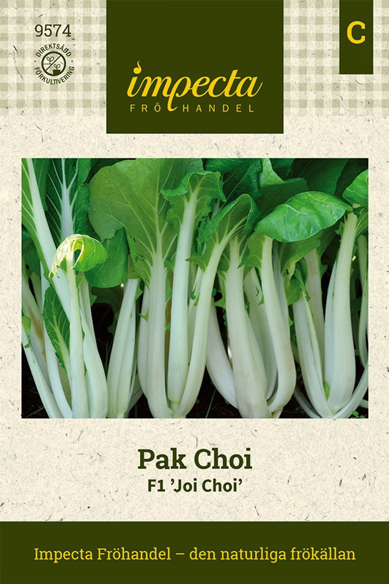 Brassica rapa (Chinensis-gr.) F1 'Joi Choi'