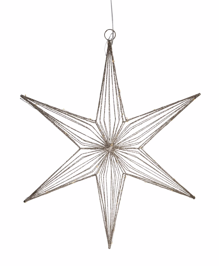 Advent star Champagne