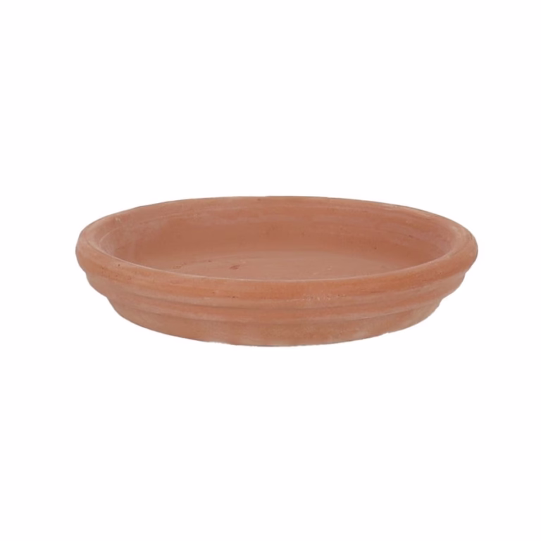 Saucer Aromi 