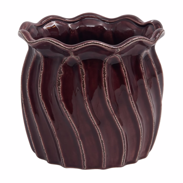Pot Plum 