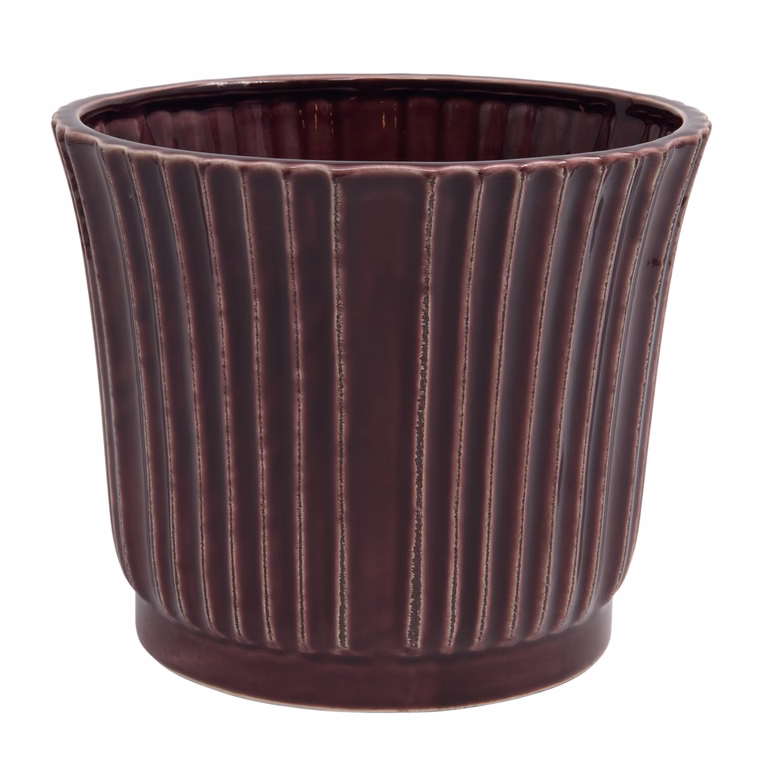 Pot Plum 