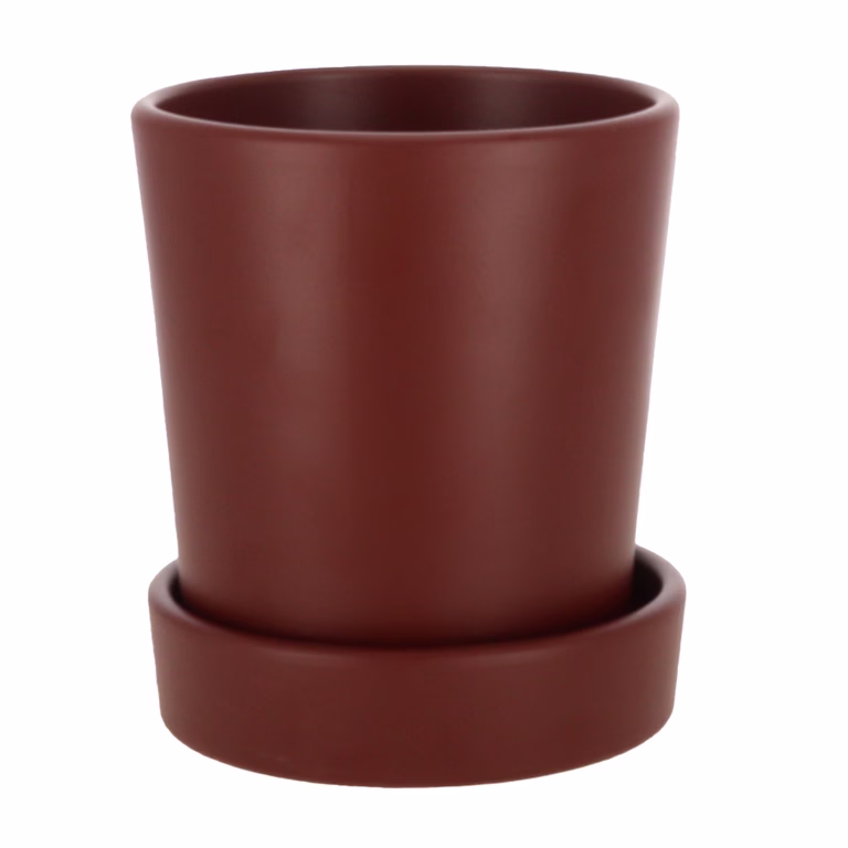Pot Amy 
