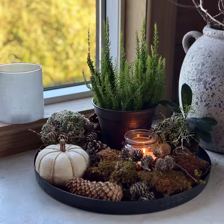 Decorate for novent
