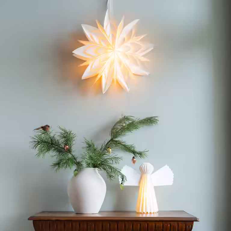 Advent 2024: Decorate your home with plants, lights and decorations