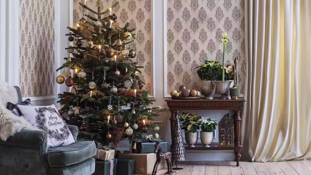 How to Care for Your Christmas Tree – Tips and Advice