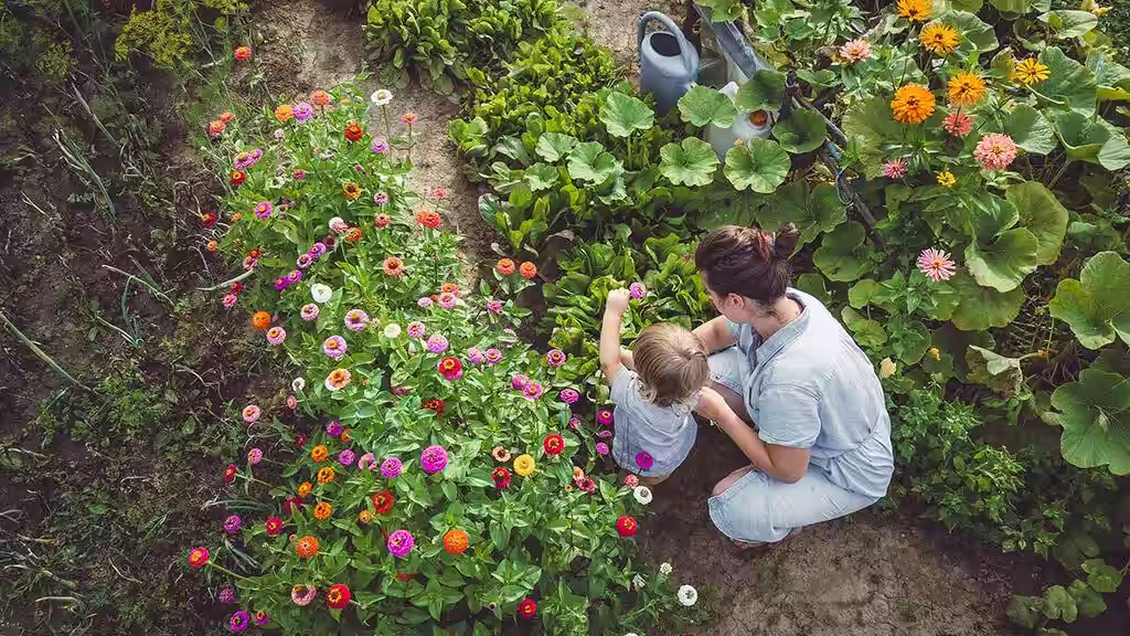 To cultivate in the time of climate change