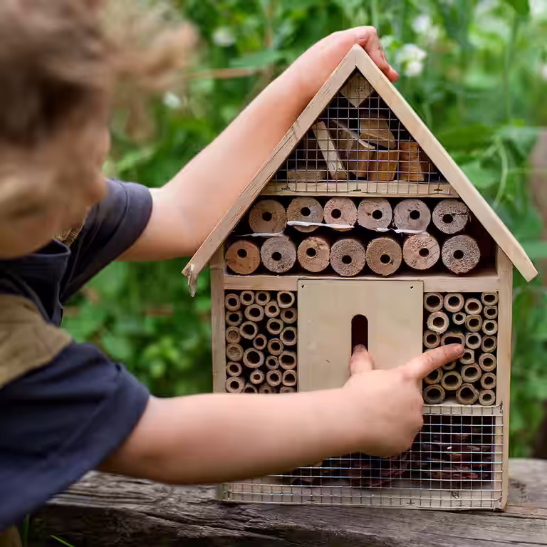 Build your own insect hotel – in seven easy steps