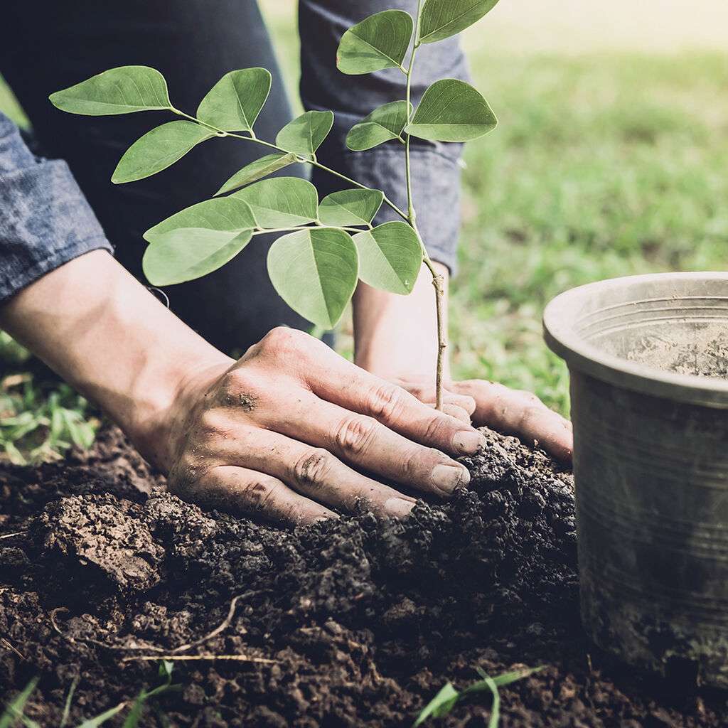 Image of Jord & gödsel 
