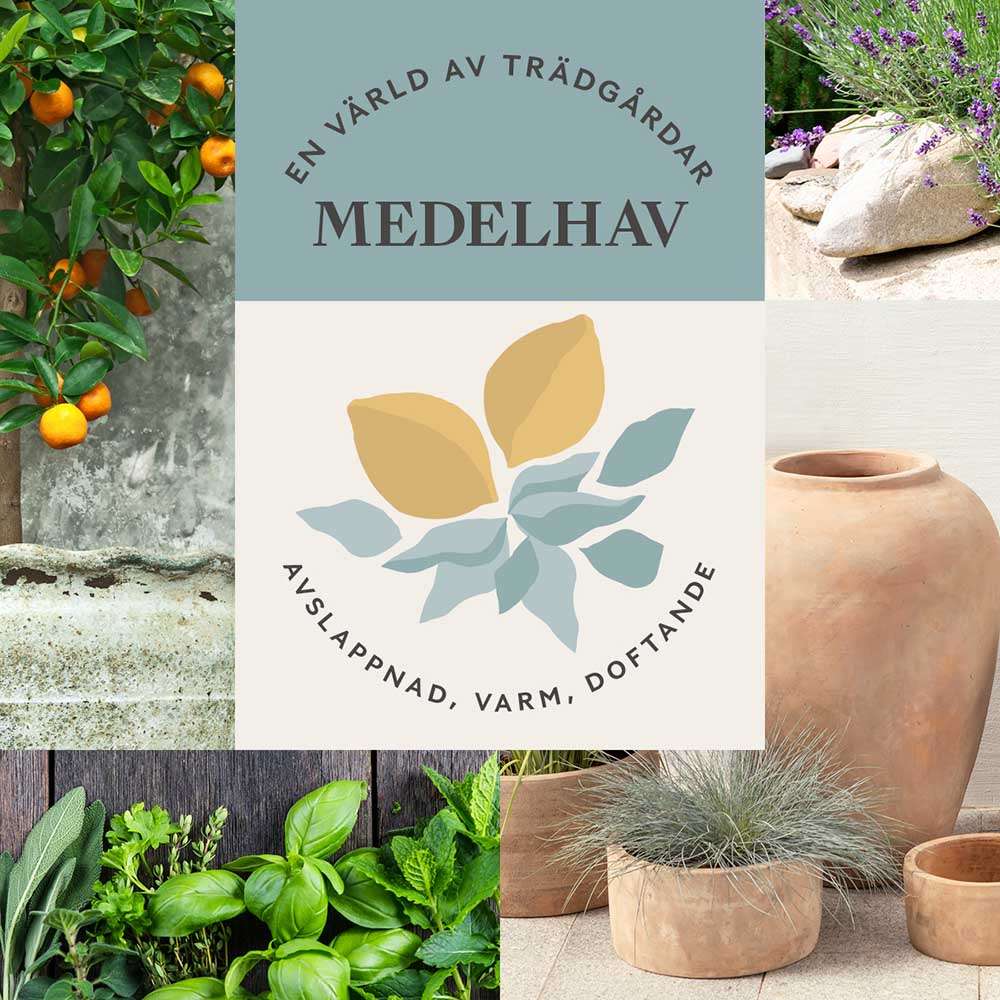 Image of Stilguide: Medelhav