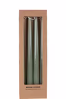 Antikljus Elegans