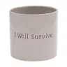 Kruka I Will Survive