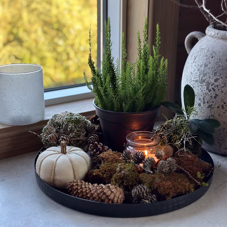 Decorate for novent