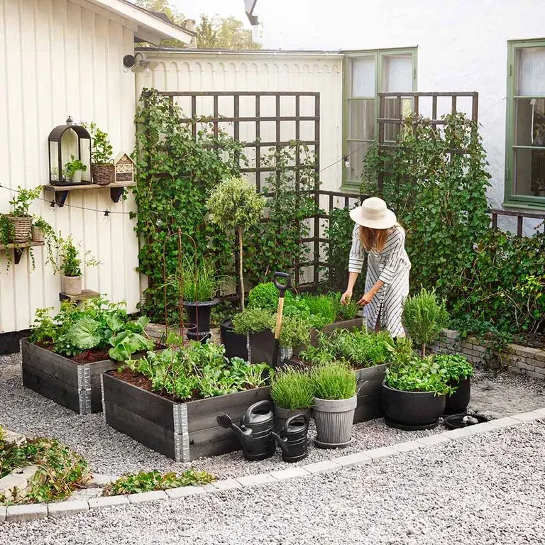 Skapa en köksträdgård 