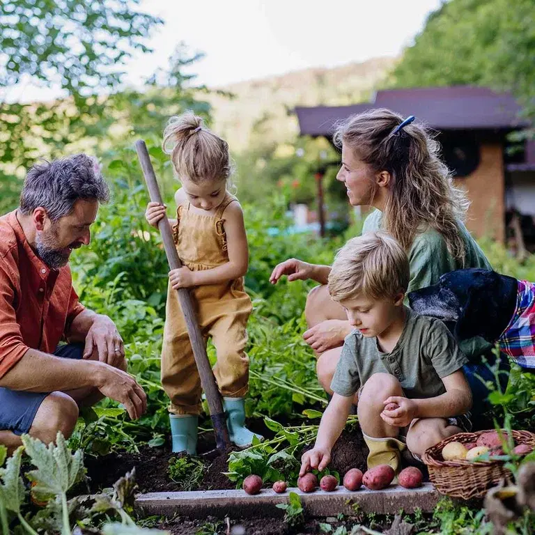 Kom igång med beredskapsodling  