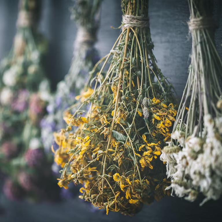 Eterneller – odla blommor du kan torka 