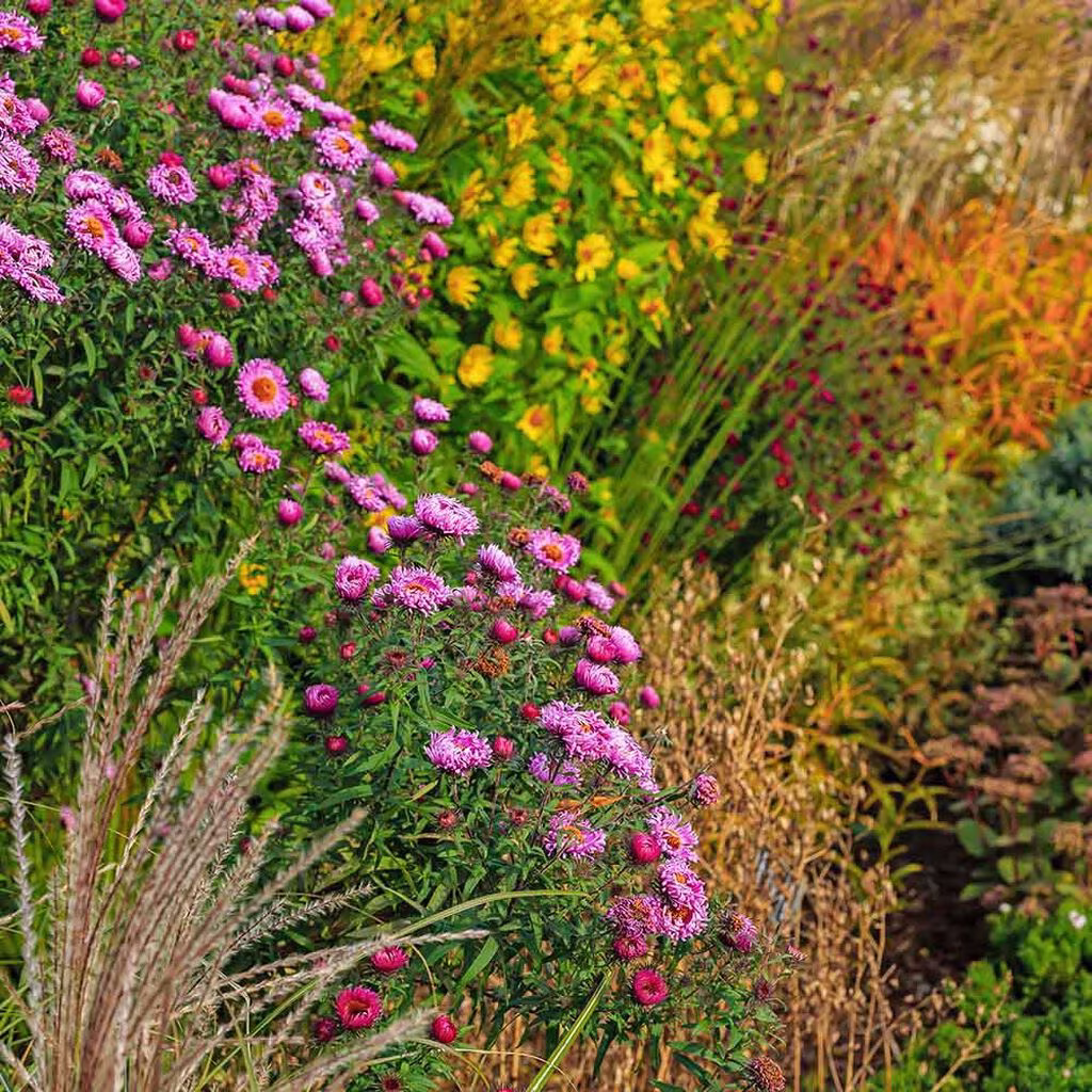 Extend summer in the garden