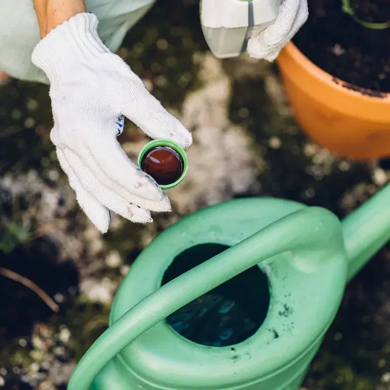 Odla klimatsmart - skapa din egen gödsel