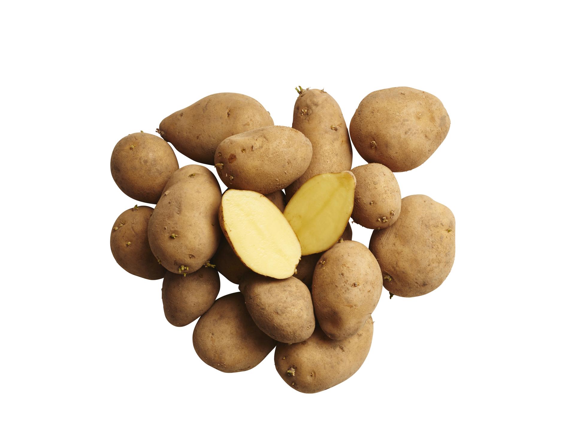 Potatis