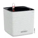 Självbevattnande kruka Cube