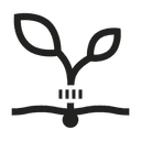 Skördetid  Jan - Des månad