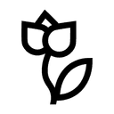 Blomningstid Apr - May