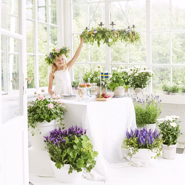 Create the midsummer idyll with flowers