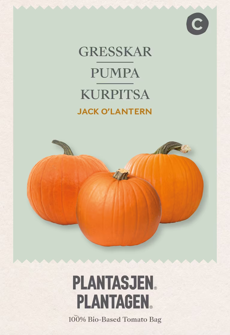 Pumpa 'Jack o'lantern'