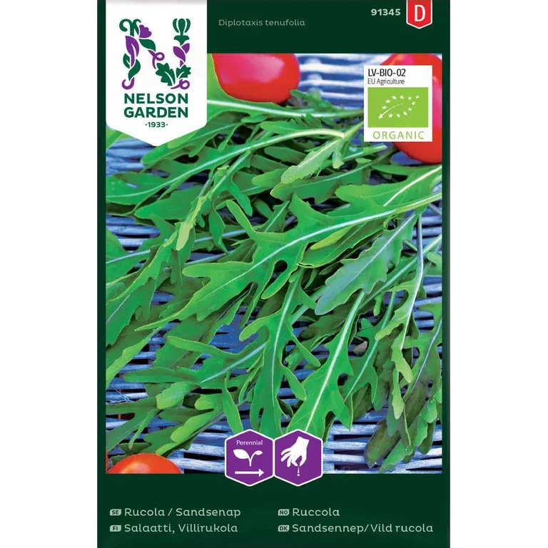 Rucola