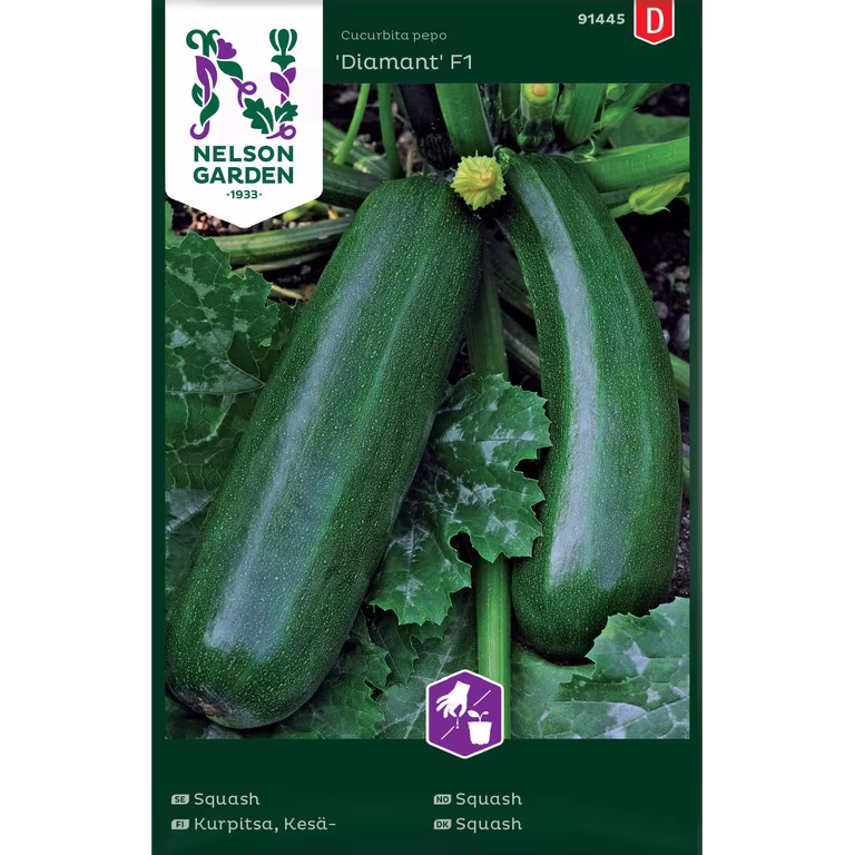 Squash 'Diamant'