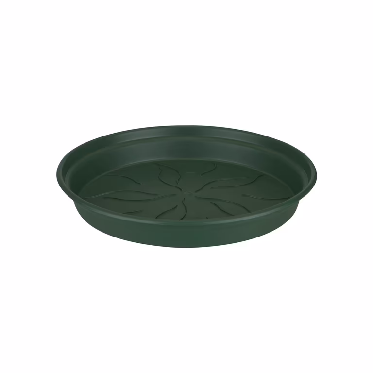 Fat Green basics