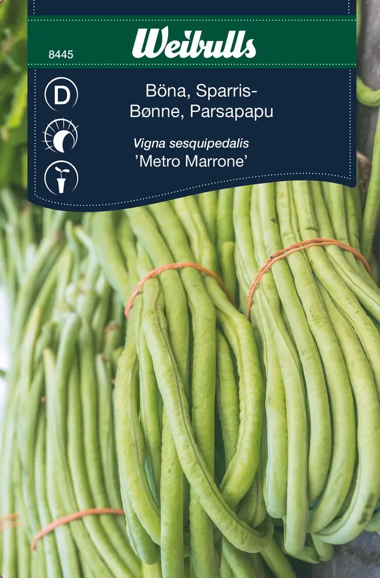 Sparrisböna 'Metro Marrone'