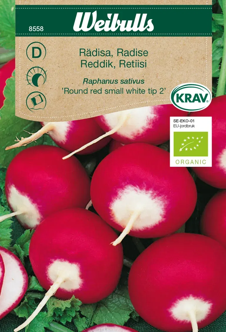 Rädisa 'Round Red Small White Tip 2' KRAV