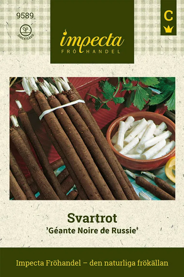 Svartrot 'Géante Noire de Russie'