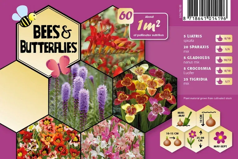 Blomsterknölar mix Bee & Butterfly Garden