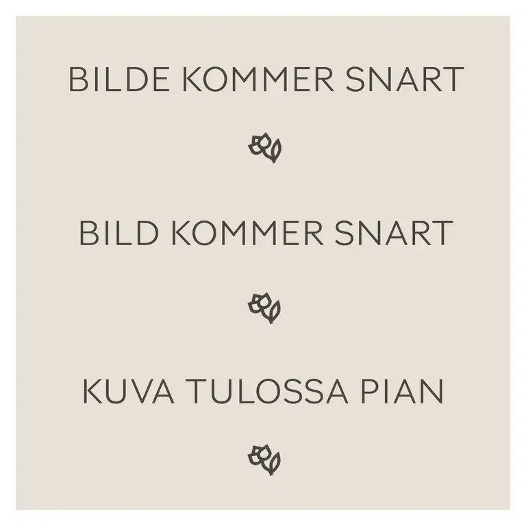 Blågran 'Super Blue'