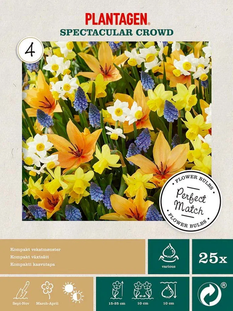 Blomlöksmix Spectacular Crowd