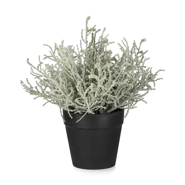 Silvergirland konstgjord