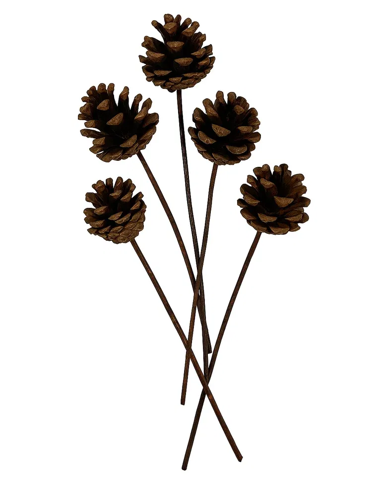 Kotte på trästjälk