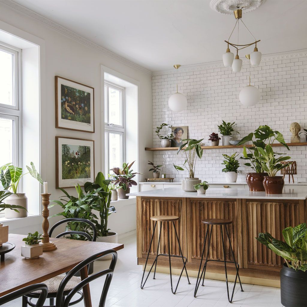 Image of Guide: Växter till små och stora rum