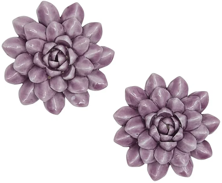 Decorationflowers Blossoms 