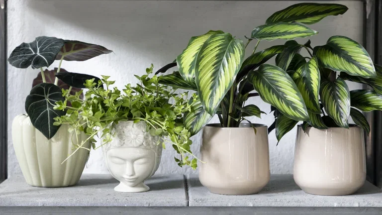 Ida pot D14 beige