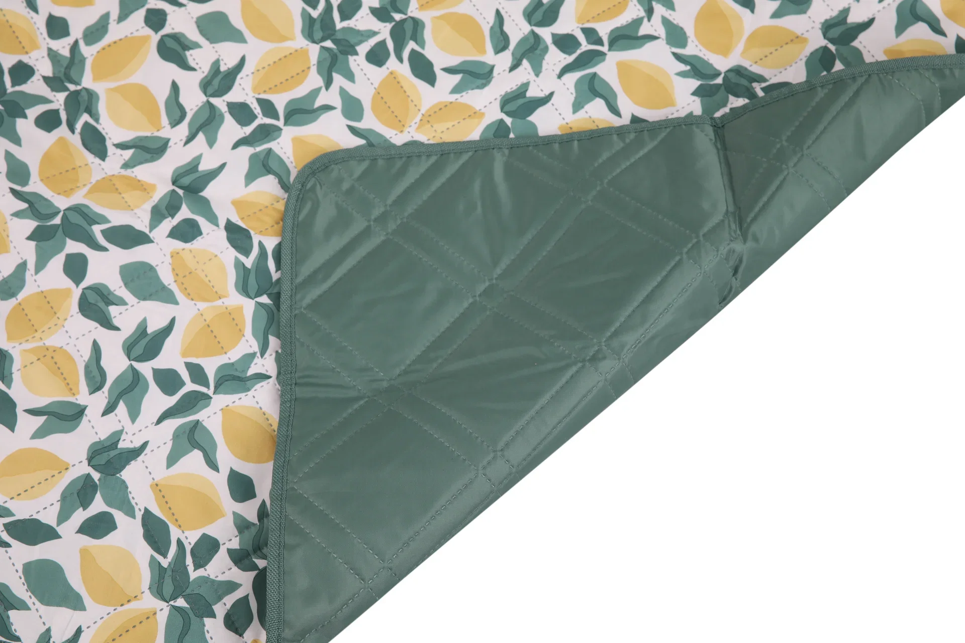Picnic Blanket Strand