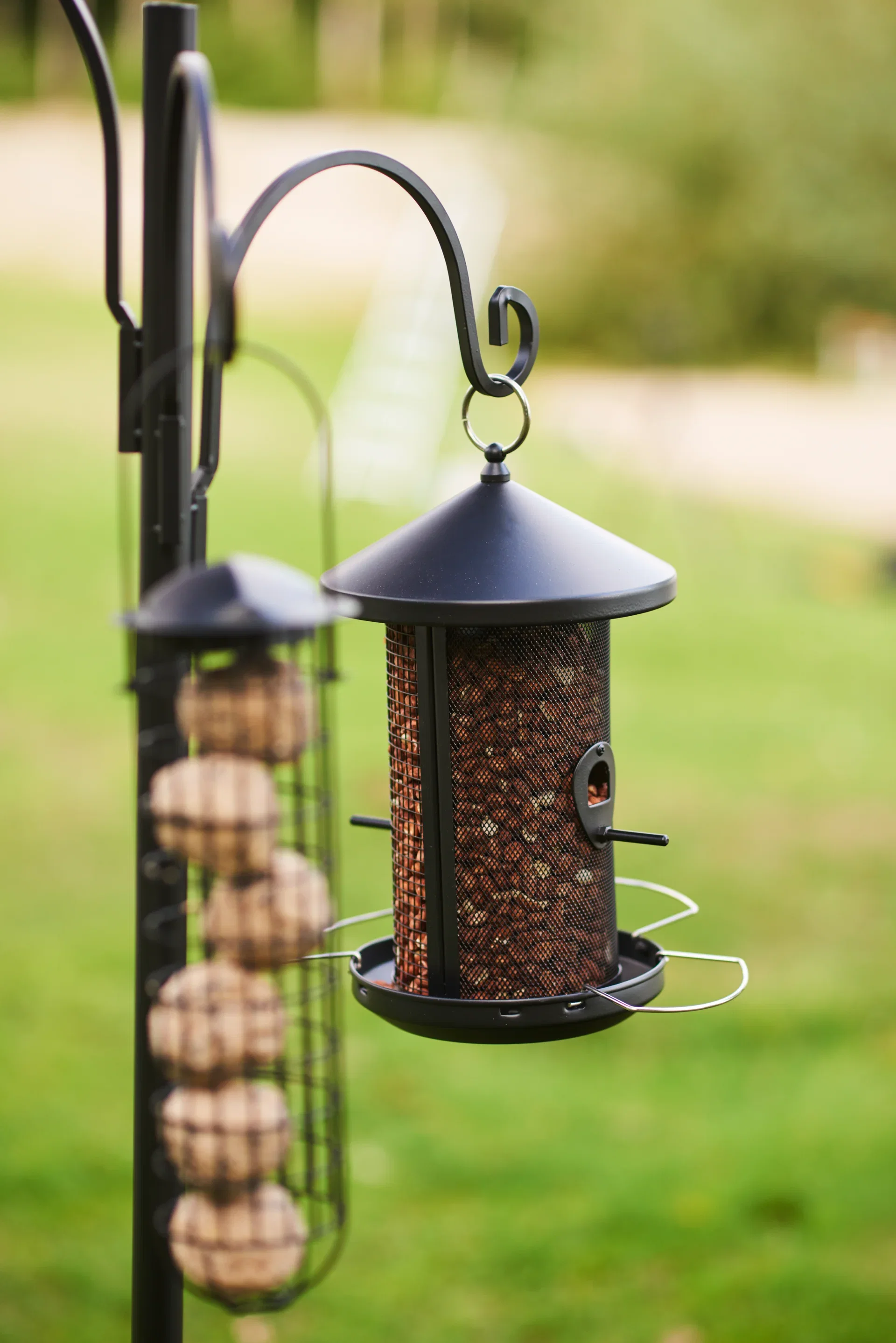 Bird Feeder Station