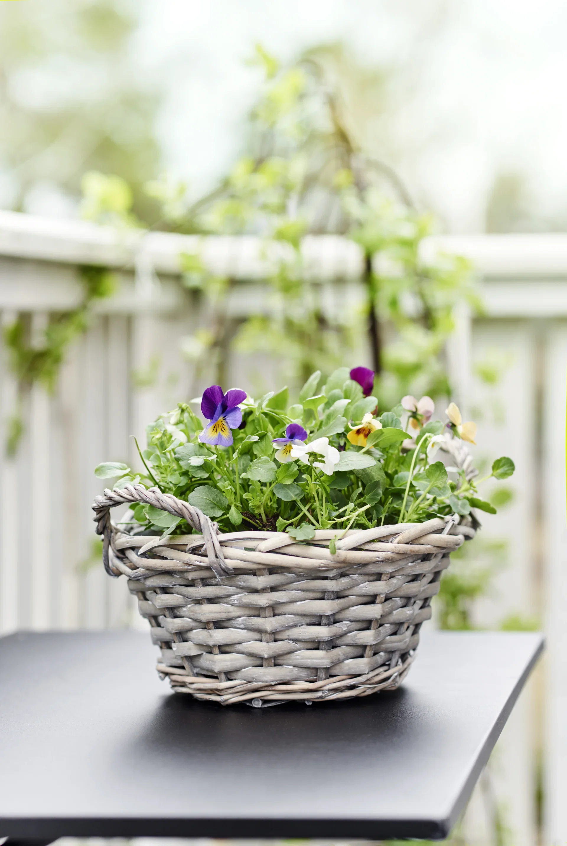 Edith bowl D27 grey
